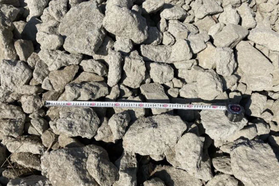 破砕前のイメージ画像