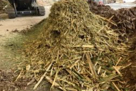 竹 破砕後のイメージ画像