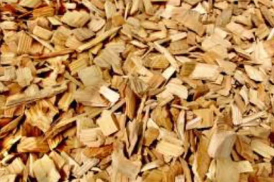 ウッドチップのイメージ画像