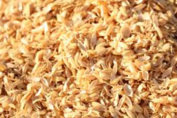 バイオマスのイメージ画像